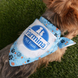 2905 Pañuelo para Mascota. 2905 Pañuelo para Mascota.